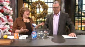 Madame Chasse-taches avec Guildor Roy à V Madame Chasse-taches avec Gildor Roy à V